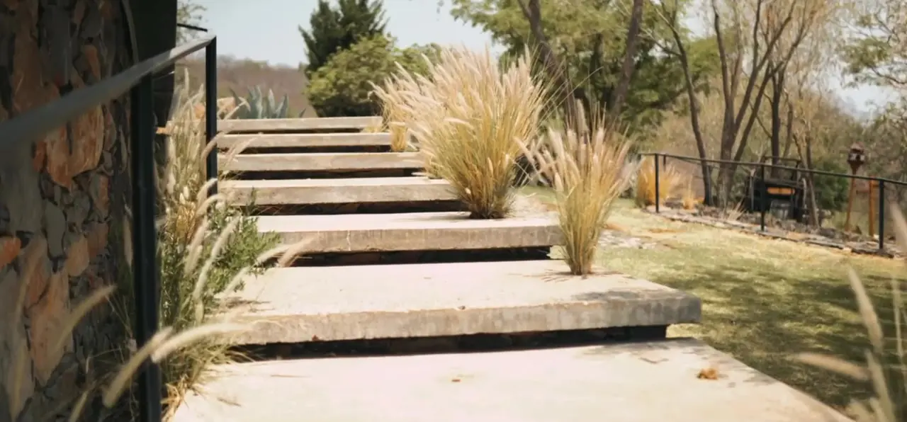 Escalinata de piedra entre pastos