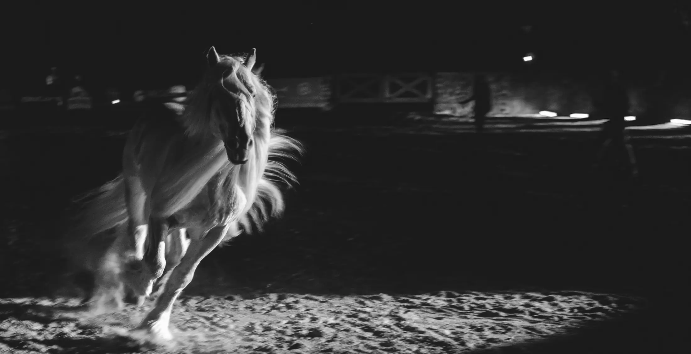 Caballo galopando en la pista del rancho