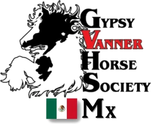 Gypsy Vanner Horse Society México